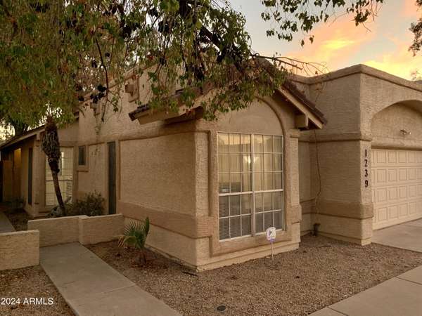 1239 W Manor Street, Chandler, AZ 85224