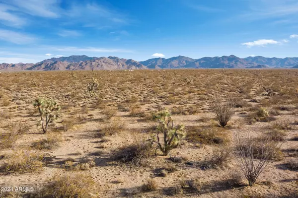 Yucca, AZ 86438,300 W Mary Drive #3055