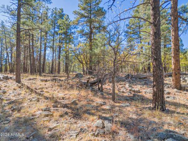 Flagstaff, AZ 86001,1384 E BOUTELOUA Bend #11