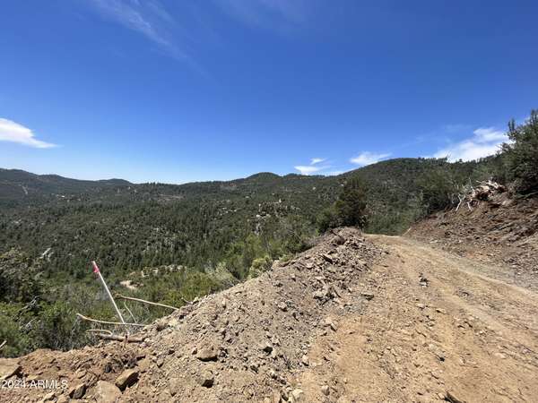 Crown King, AZ 86343,0 S Gladiator Mine Road #-