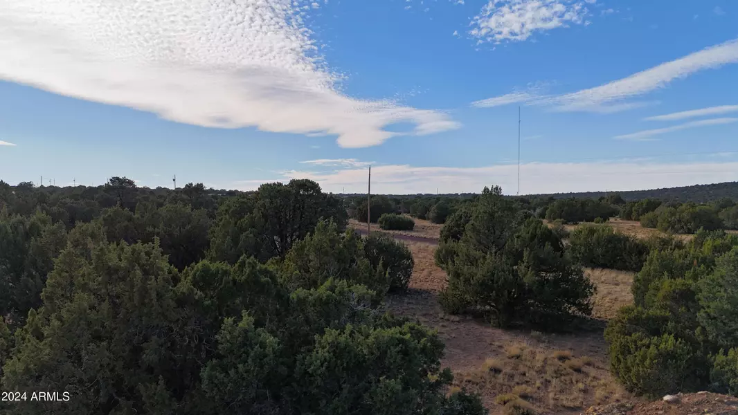 28 COUNTY ROAD 8021 -- #359, Concho, AZ 85924