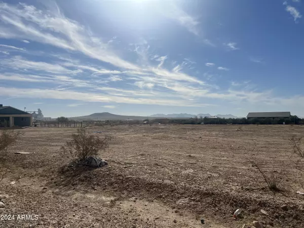 Tonopah, AZ 85354,332 W Siesta Way #474