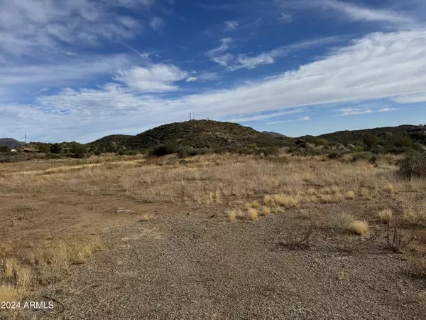 Yarnell, AZ 85362,23404 S STATE ROUTE 89 -- #-