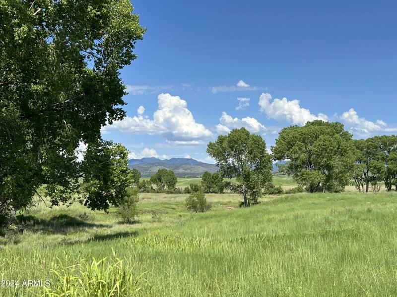 San Rafael Valley Road, Patagonia, AZ 85624