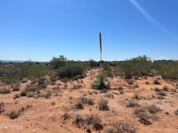 S Via Coyote -- #4, Benson, AZ 85602