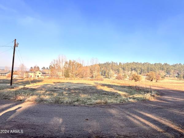 Pinetop, AZ 85935,2445 S JAN Lane #61