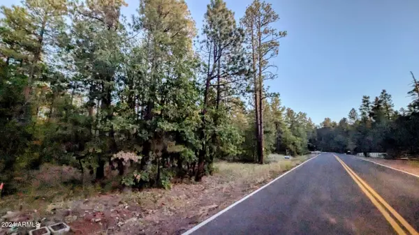 Pinetop, AZ 85935,2095 S PINE LAKE Road #--