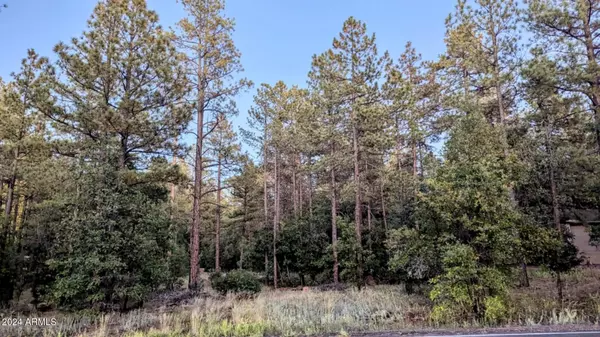 Pinetop, AZ 85935,2095 S PINE LAKE Road #--