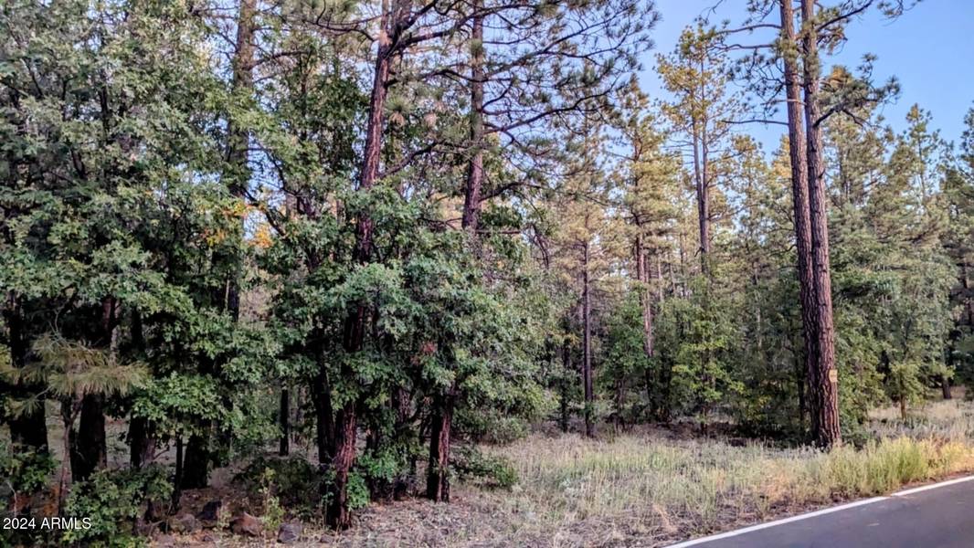 2095 S PINE LAKE Road #--, Pinetop, AZ 85935