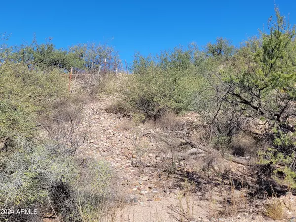 Saint David, AZ 85630,10 N Jacobs Road #12009010