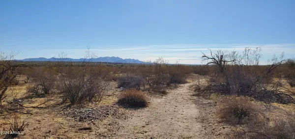 Unincorporated County, AZ 85361,29150 W Radford Road #82