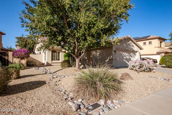 Surprise, AZ 85374,15284 W COTTONWOOD Street