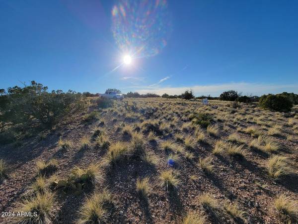 Concho, AZ 85924,257 GILA Drive #1