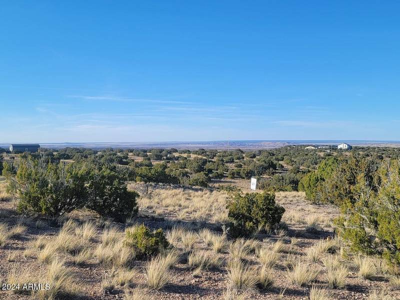 257 GILA Drive #1, Concho, AZ 85924