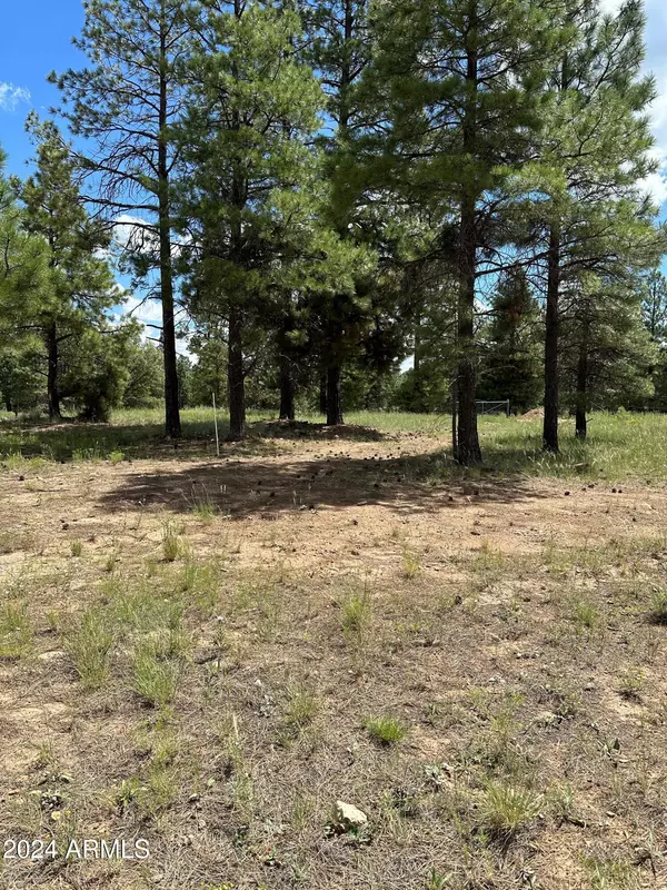 Flagstaff, AZ 86005,2476 S Pinyon Jay Drive #23