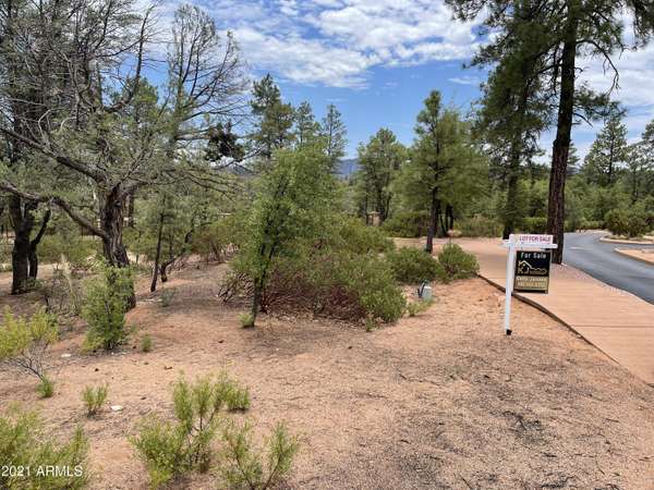 Payson, AZ 85541,603 N CLUB Drive #3