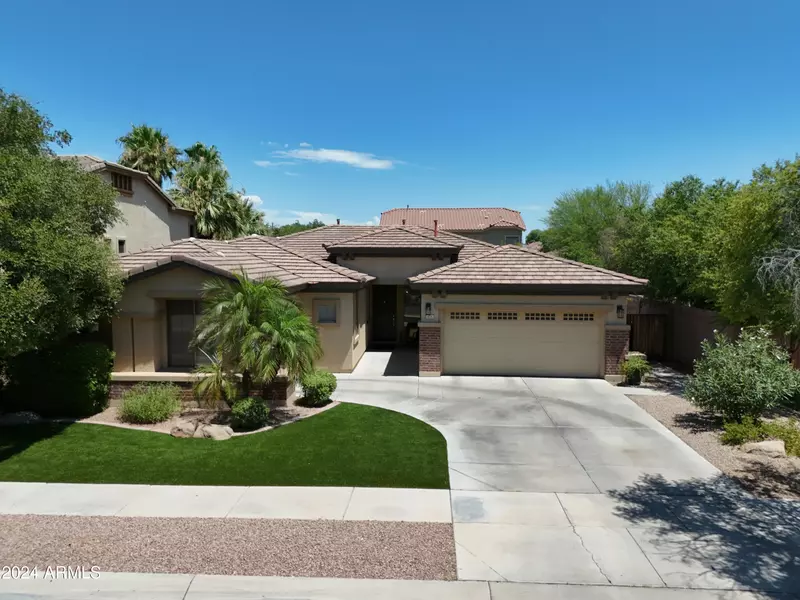 414 W SEAGULL Drive, Chandler, AZ 85286