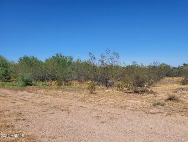 Wittmann, AZ 85361,25581 W Melanie Drive #-