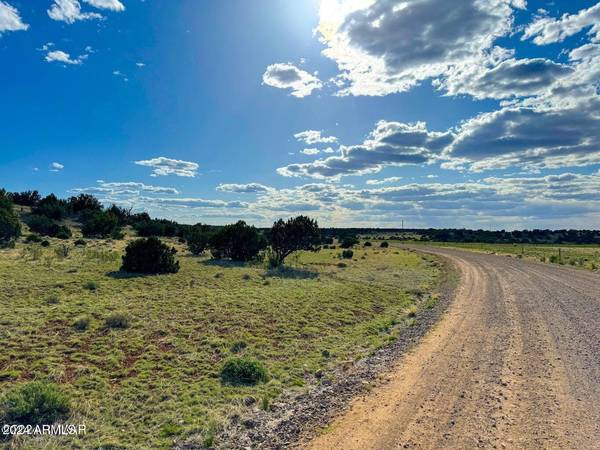 Concho, AZ 85924,0 CR 8643 Lot 167 6 Acres -- #-