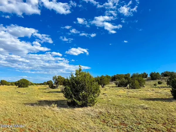 Concho, AZ 85924,0 CR 8643 Lot 167 6 Acres -- #-