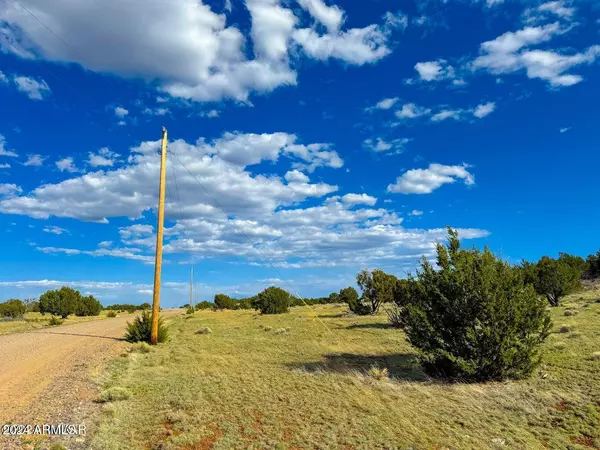 Concho, AZ 85924,0 CR 8643 Lot 167 6 Acres -- #-