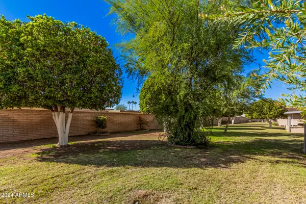 Sun City, AZ 85351,11001 W CAMEO Drive