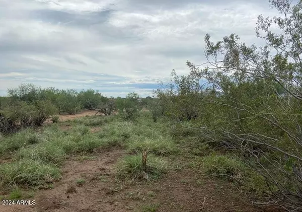 Wittmann, AZ 85361,255 W Skinner Road #-