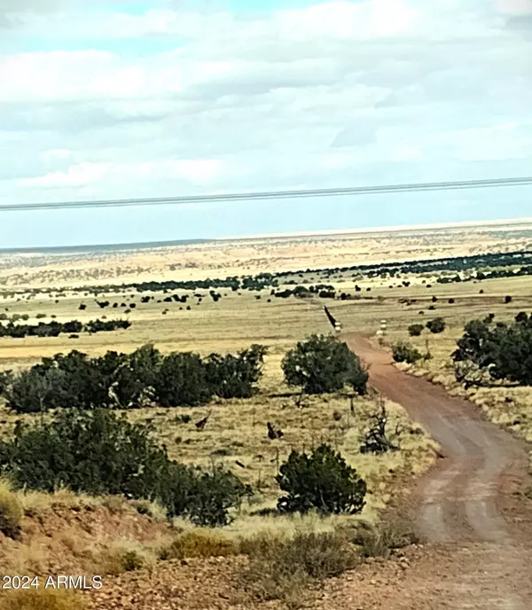 Concho, AZ 85924,88 Ranch of the White Mountains -- #088