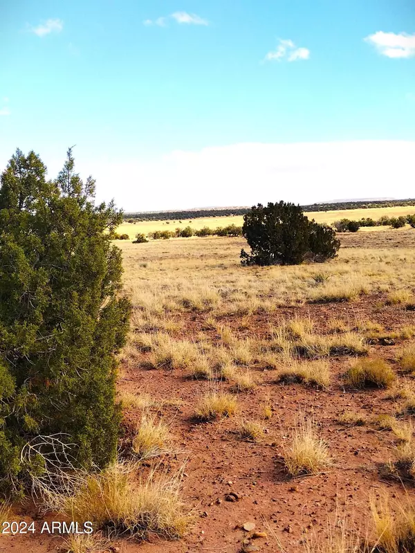 Concho, AZ 85924,88 Ranch of the White Mountains -- #088