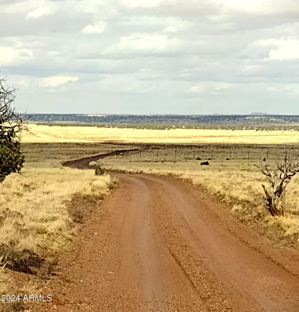 Concho, AZ 85924,88 Ranch of the White Mountains -- #088