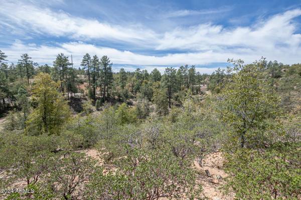 Payson, AZ 85541,2501 E Feather Plume Court #635