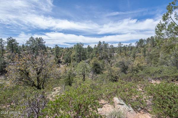 Payson, AZ 85541,2501 E Feather Plume Court #635