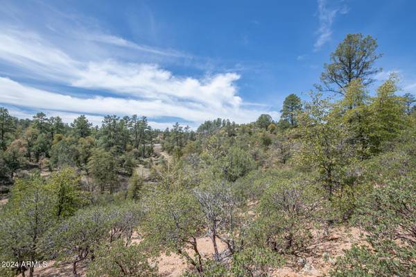 Payson, AZ 85541,2501 E Feather Plume Court #635