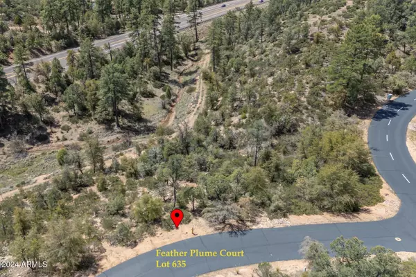 Payson, AZ 85541,2501 E Feather Plume Court #635