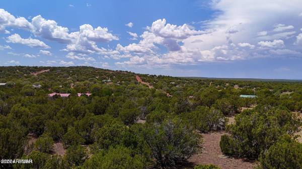 Show Low, AZ 85901,8489 Big Bear Drive #-