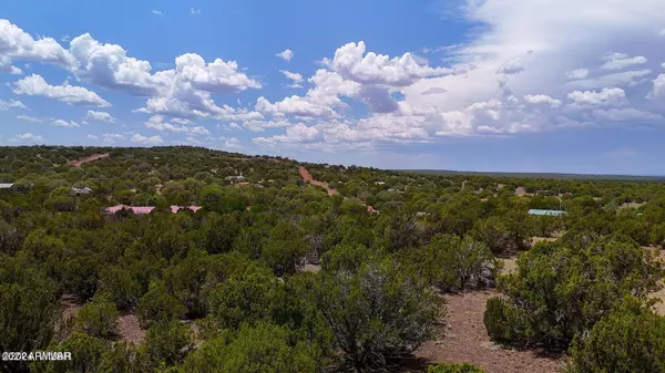 Show Low, AZ 85901,8489 Big Bear Drive #-