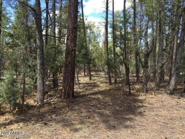 Pinetop, AZ 85935,242 E SKY HI Drive #25