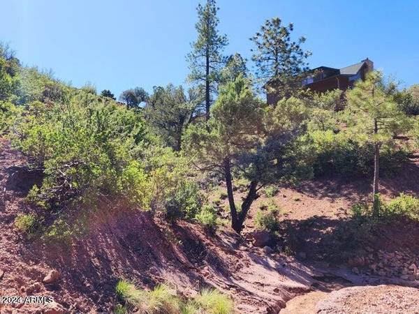 55 FOXTAIL Circle #55, Pine, AZ 85544