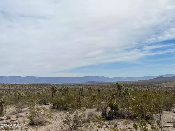 Unknown -- #94, Dolan Springs, AZ 86441