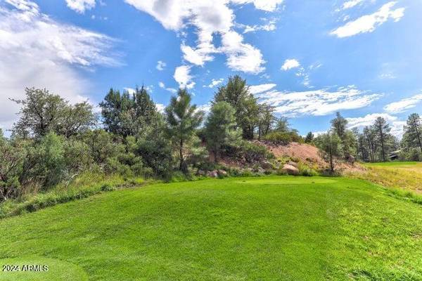 Payson, AZ 85541,2502 E GRAPEVINE Drive #347