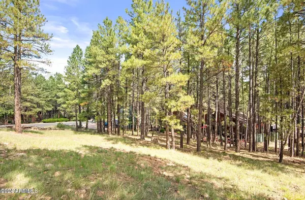 Flagstaff, AZ 86004,1654 N Wood Hollow Way #50