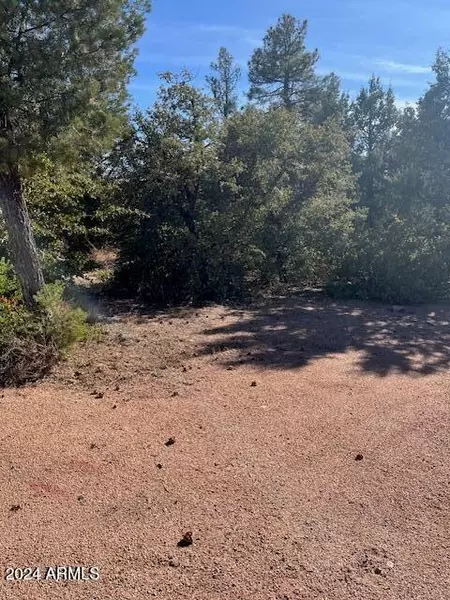 8 S Forest Ridge Court -- #8, Payson, AZ 85541