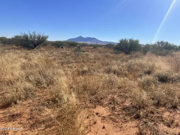 Hereford, AZ 85615,1 E Ave De Jicarilla -- #1