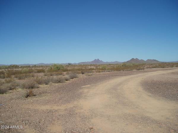 Unincorporated County, AZ 85361,31122 W Wildcat Drive #153