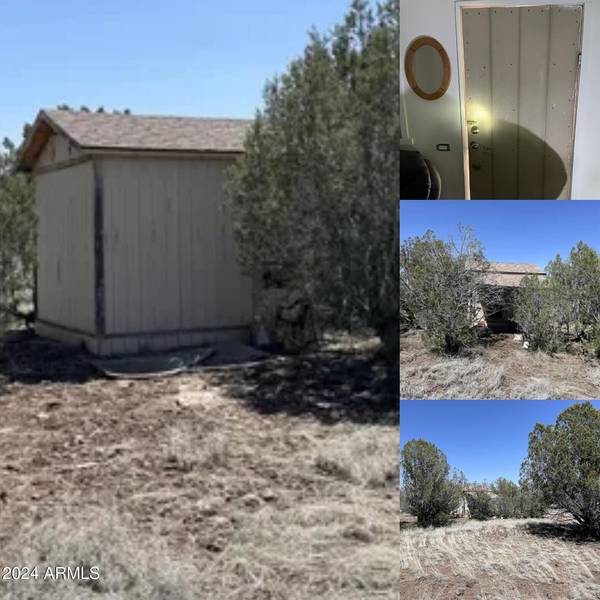 3529 W PINTO Drive #696, Ash Fork, AZ 86320