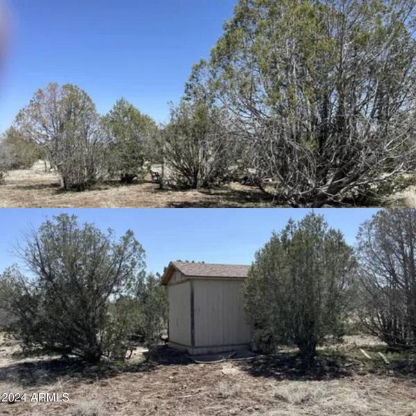 Ash Fork, AZ 86320,3529 W PINTO Drive #696