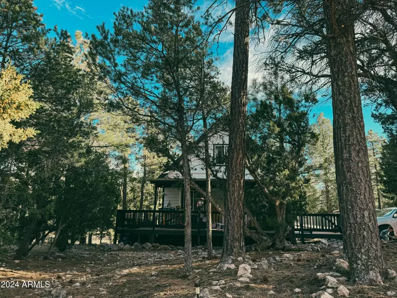 2865 LODGEPOLE Road, Overgaard, AZ 85933