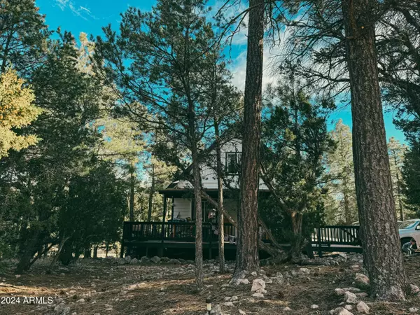 2865 LODGEPOLE Road, Overgaard, AZ 85933