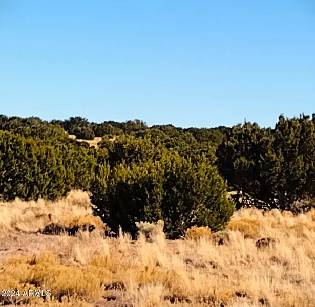 261 Elk Valley Ranch -- #261, St Johns, AZ 85936