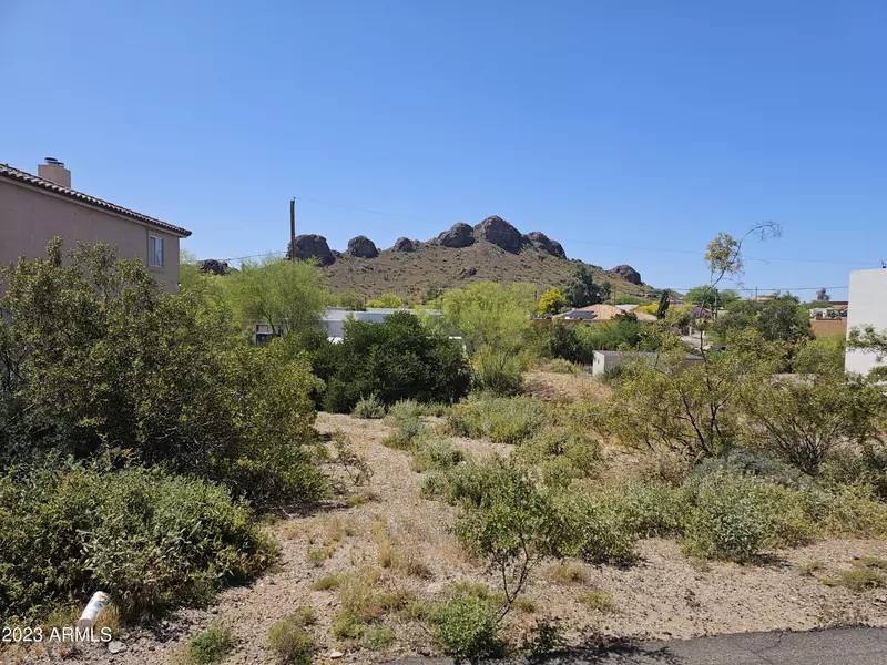 5636 S ESTRELLA Road #87, Gold Canyon, AZ 85118